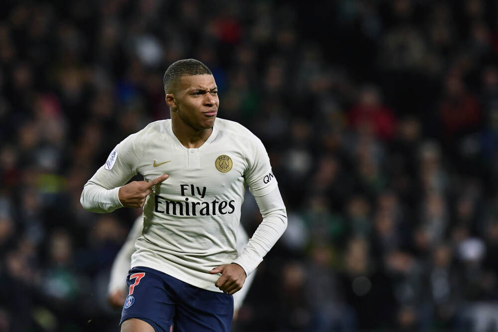 第17期 绣球牛肝菌